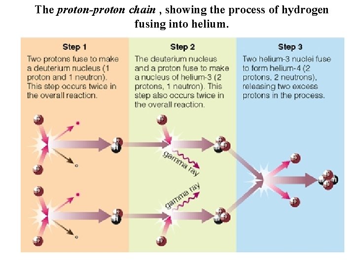 The proton-proton chain , showing the process of hydrogen fusing into helium. 