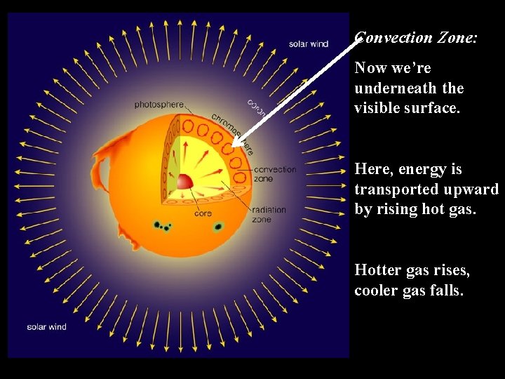 Convection Zone: Now we’re underneath the visible surface. Here, energy is transported upward by