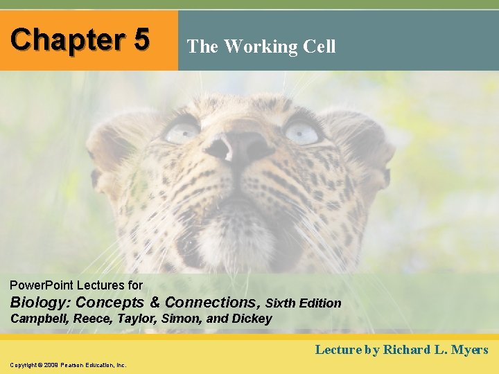 Chapter 5 The Working Cell Power. Point Lectures for Biology: Concepts & Connections, Sixth