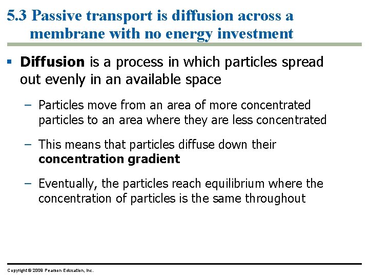 5. 3 Passive transport is diffusion across a membrane with no energy investment §