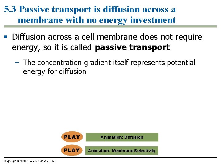 5. 3 Passive transport is diffusion across a membrane with no energy investment §