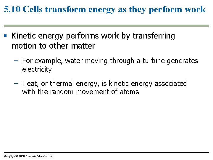 5. 10 Cells transform energy as they perform work § Kinetic energy performs work