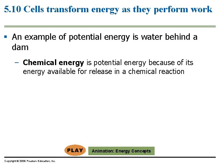 5. 10 Cells transform energy as they perform work § An example of potential