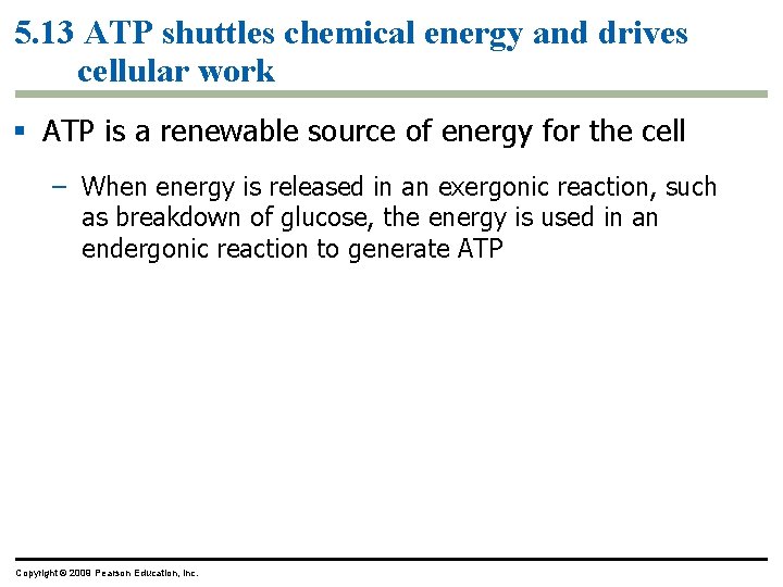 5. 13 ATP shuttles chemical energy and drives cellular work § ATP is a