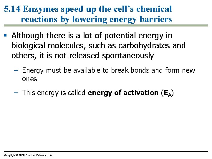 5. 14 Enzymes speed up the cell’s chemical reactions by lowering energy barriers §