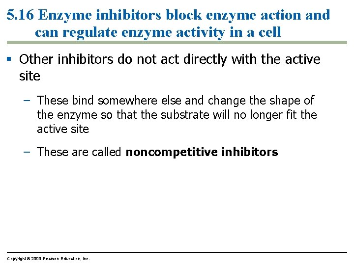 5. 16 Enzyme inhibitors block enzyme action and can regulate enzyme activity in a