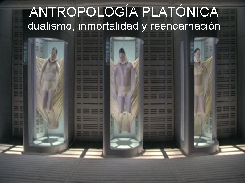 ANTROPOLOGÍA PLATÓNICA dualismo, inmortalidad y reencarnación 