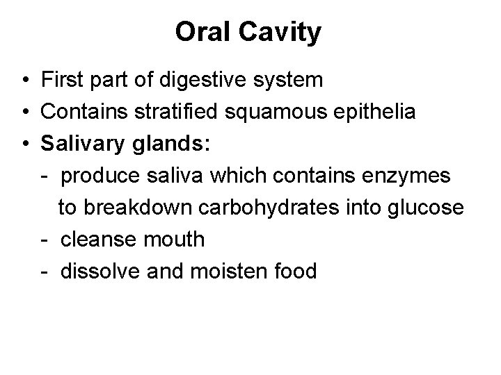 Oral Cavity • First part of digestive system • Contains stratified squamous epithelia •