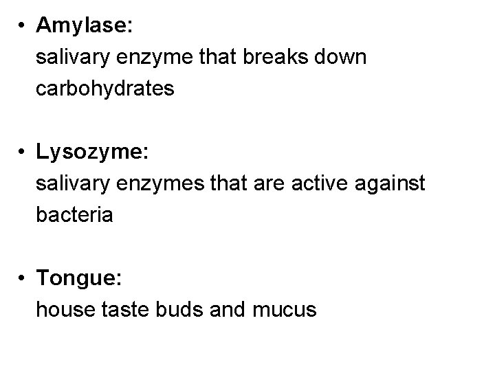  • Amylase: salivary enzyme that breaks down carbohydrates • Lysozyme: salivary enzymes that