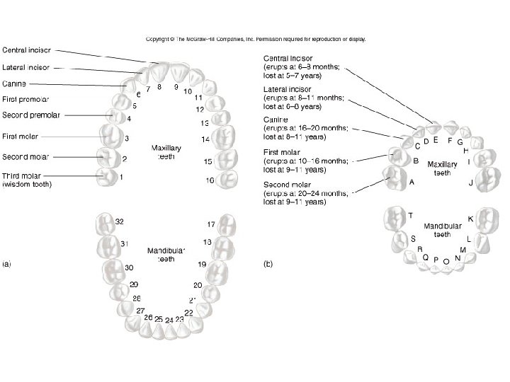 Figure 16. 5 