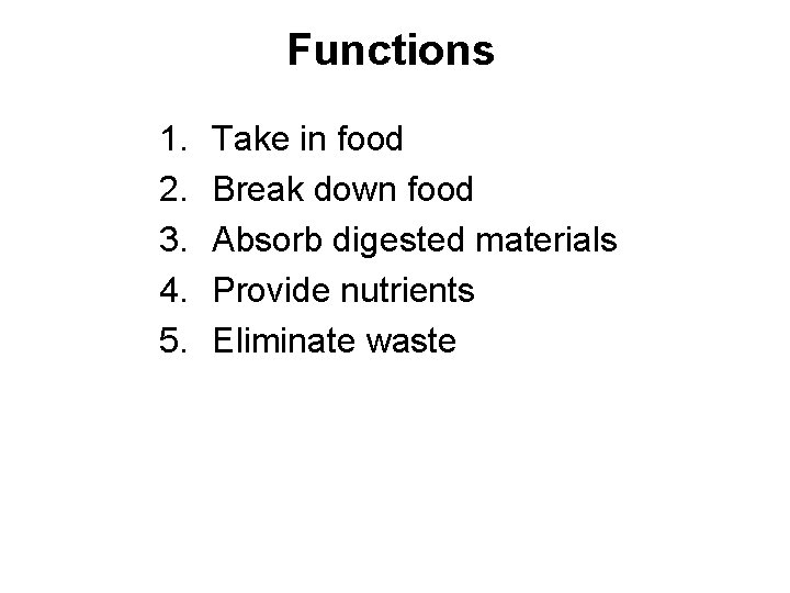Functions 1. 2. 3. 4. 5. Take in food Break down food Absorb digested