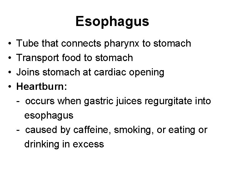 Esophagus • • Tube that connects pharynx to stomach Transport food to stomach Joins