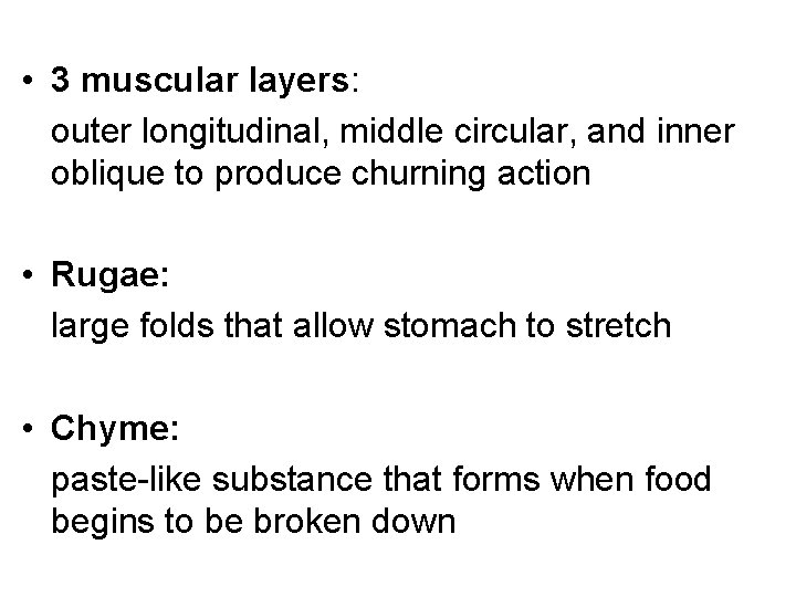  • 3 muscular layers: outer longitudinal, middle circular, and inner oblique to produce