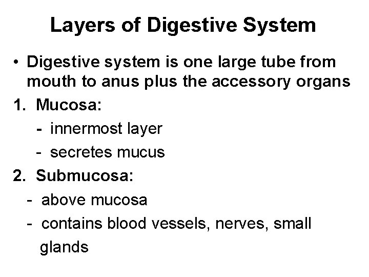 Layers of Digestive System • Digestive system is one large tube from mouth to