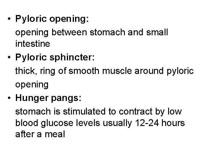  • Pyloric opening: opening between stomach and small intestine • Pyloric sphincter: thick,