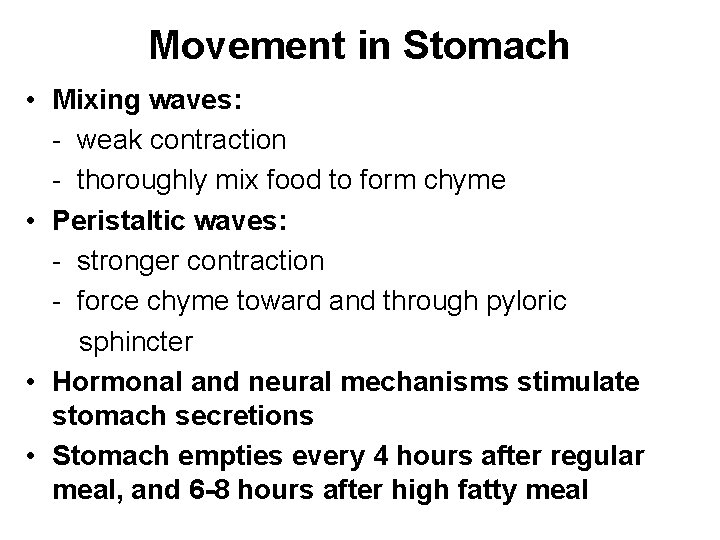 Movement in Stomach • Mixing waves: - weak contraction - thoroughly mix food to