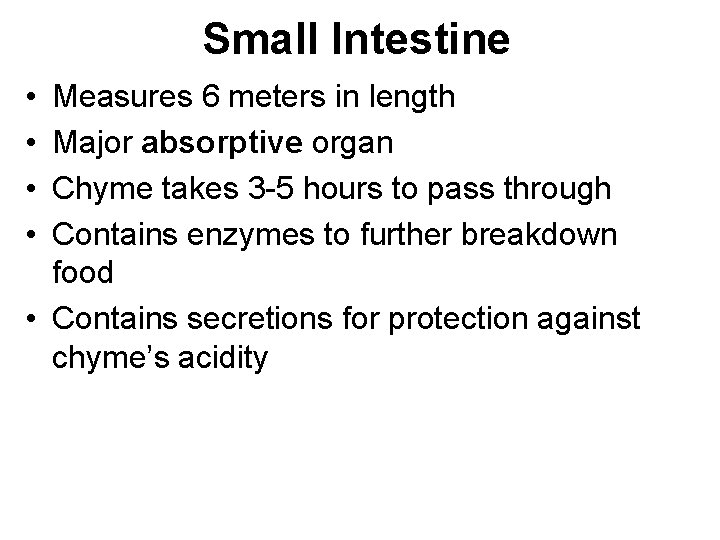 Small Intestine • • Measures 6 meters in length Major absorptive organ Chyme takes