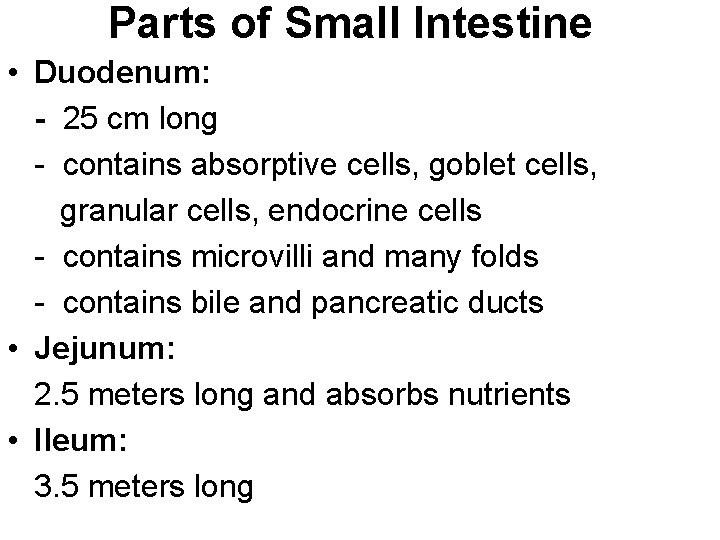 Parts of Small Intestine • Duodenum: - 25 cm long - contains absorptive cells,