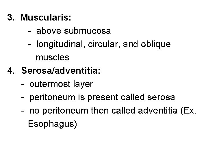 3. Muscularis: - above submucosa - longitudinal, circular, and oblique muscles 4. Serosa/adventitia: -