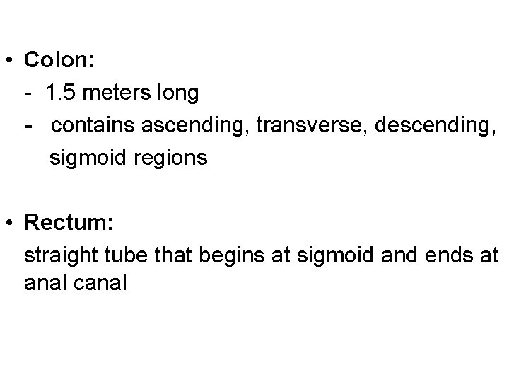  • Colon: - 1. 5 meters long - contains ascending, transverse, descending, sigmoid