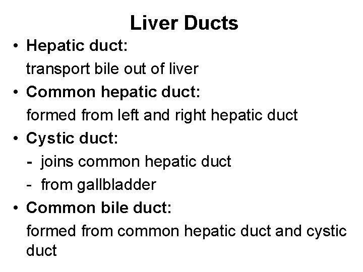 Liver Ducts • Hepatic duct: transport bile out of liver • Common hepatic duct: