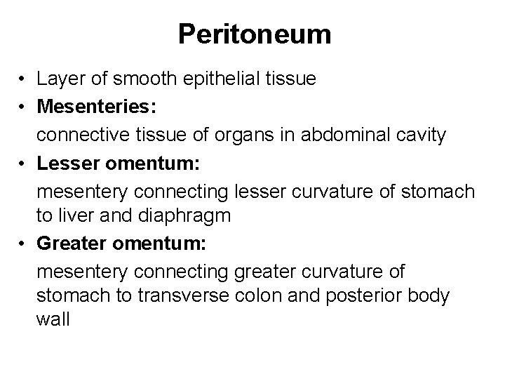 Peritoneum • Layer of smooth epithelial tissue • Mesenteries: connective tissue of organs in