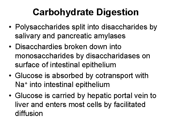 Carbohydrate Digestion • Polysaccharides split into disaccharides by salivary and pancreatic amylases • Disacchardies