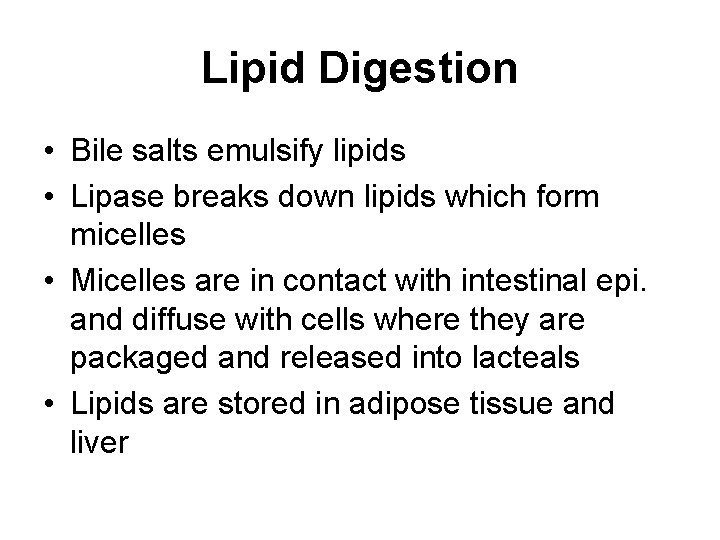Lipid Digestion • Bile salts emulsify lipids • Lipase breaks down lipids which form