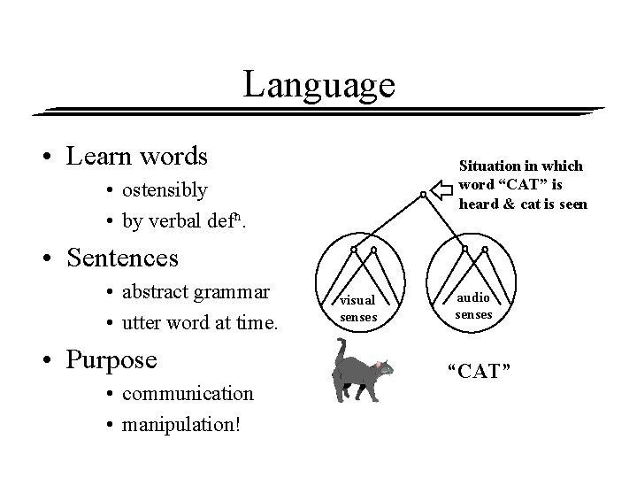 Language • Learn words Situation in which word “CAT” is heard & cat is