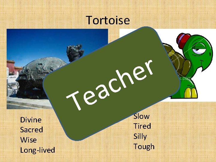 Tortoise Divine Sacred Wise Long-lived T c a e r e h Slow Tired