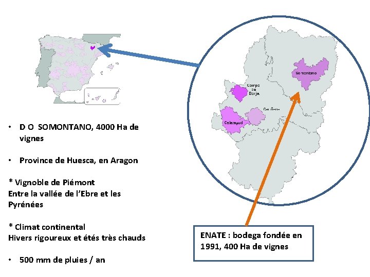  • D O SOMONTANO, 4000 Ha de vignes • Province de Huesca, en