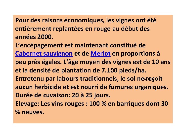 Pour des raisons économiques, les vignes ont été entièrement replantées en rouge au début