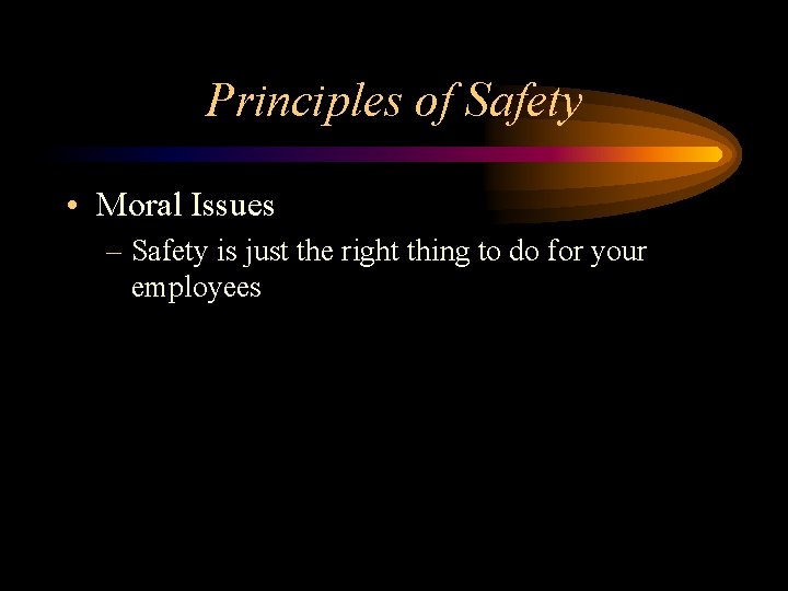 Principles of Safety • Moral Issues – Safety is just the right thing to