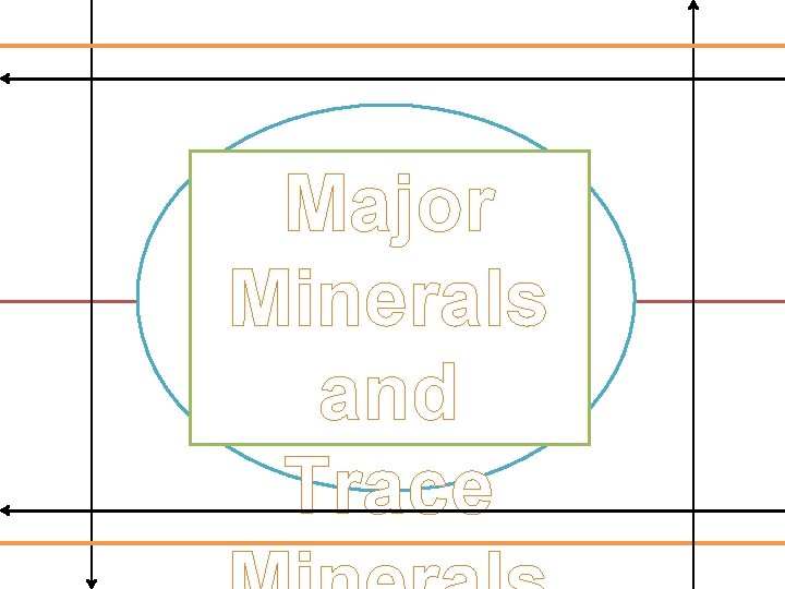 Major Minerals and Trace Major Minerals and Trace
