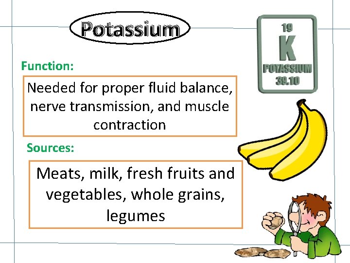 Potassium Function: Needed for proper fluid balance, nerve transmission, and muscle contraction Sources: Meats, Potassium Function: Needed for proper fluid balance, nerve transmission, and muscle contraction Sources: Meats,