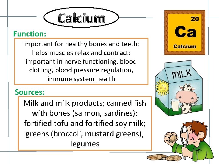 Calcium Function: Important for healthy bones and teeth; helps muscles relax and contract; important Calcium Function: Important for healthy bones and teeth; helps muscles relax and contract; important