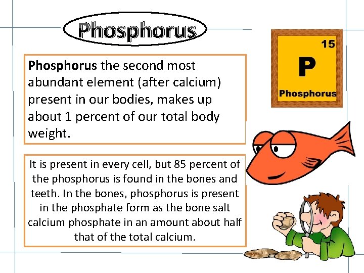 Phosphorus the second most abundant element (after calcium) present in our bodies, makes up Phosphorus the second most abundant element (after calcium) present in our bodies, makes up