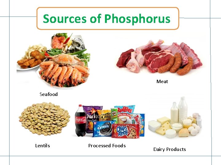 Sources of Phosphorus Meat Seafood Lentils Processed Foods Dairy Products 