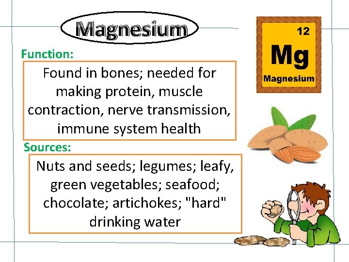 Magnesium Function: Found in bones; needed for making protein, muscle contraction, nerve transmission, immune