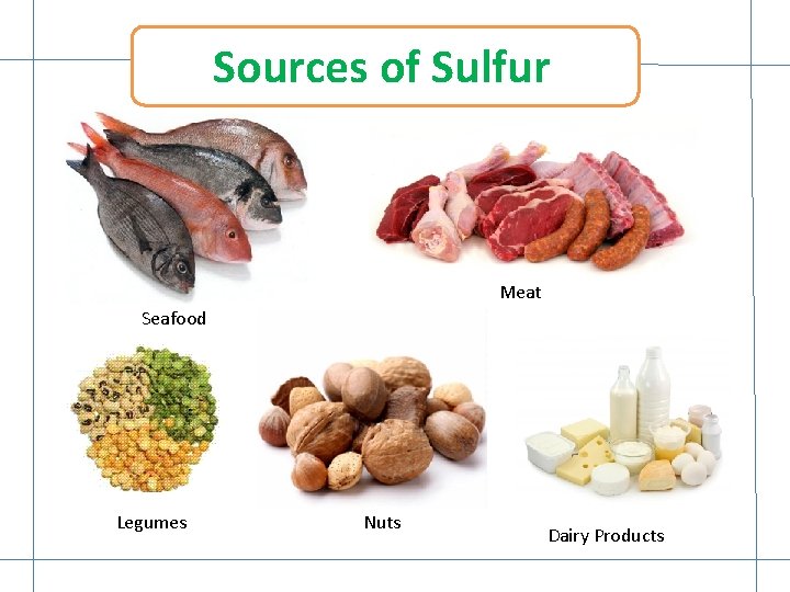 Sources of Sulfur Meat Seafood Legumes Nuts Dairy Products 