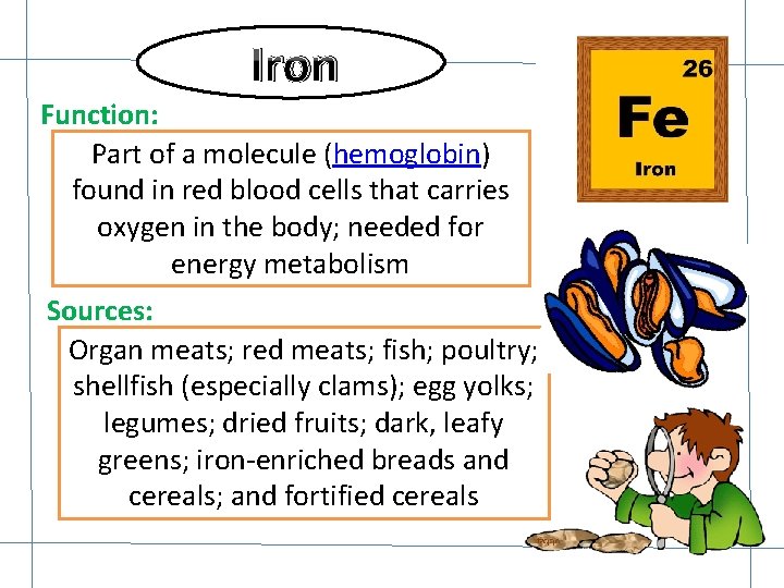 Iron Function: Part of a molecule (hemoglobin) found in red blood cells that carries