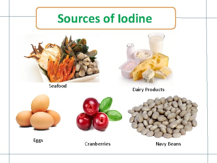 Sources of Iodine Seafood Eggs Dairy Products Cranberries Navy Beans 