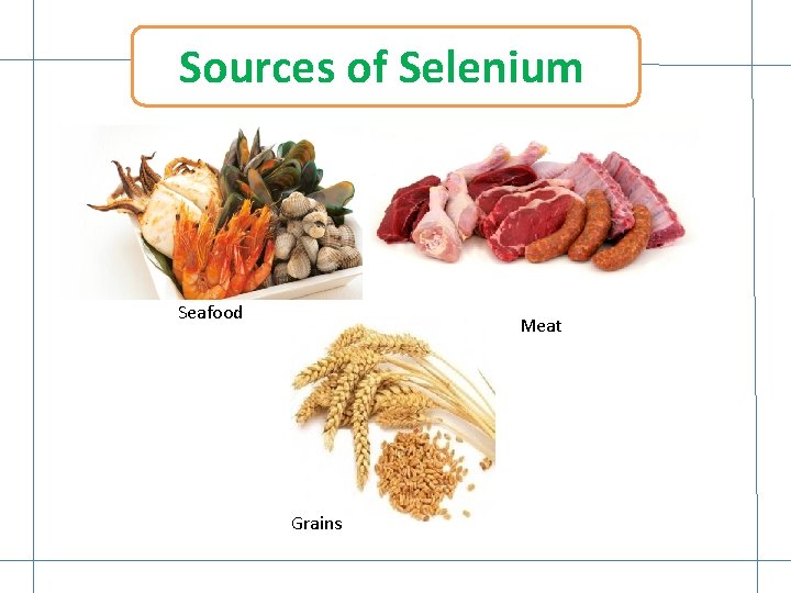 Sources of Selenium Seafood Meat Grains Sources of Selenium Seafood Meat Grains