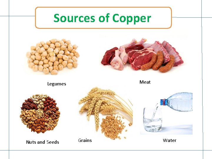 Sources of Copper Meat Legumes Nuts and Seeds Grains Water 