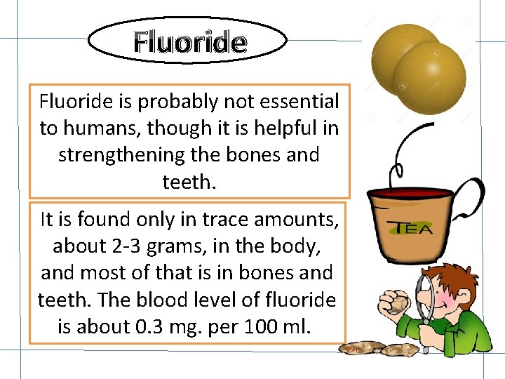 Fluoride is probably not essential to humans, though it is helpful in strengthening the Fluoride is probably not essential to humans, though it is helpful in strengthening the
