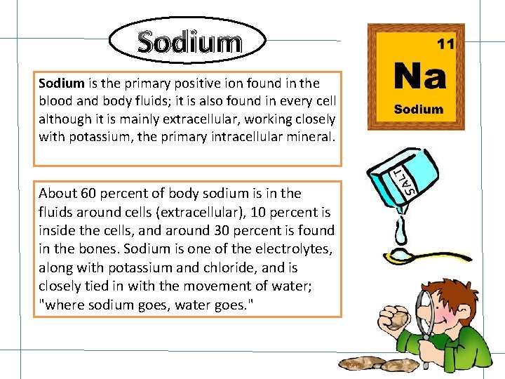 Sodium is the primary positive ion found in the blood and body fluids; it