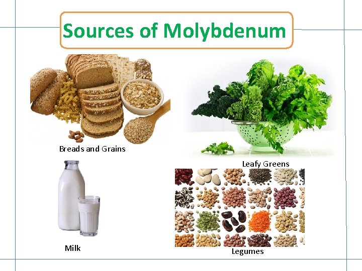 Sources of Molybdenum Breads and Grains Leafy Greens Milk Legumes Sources of Molybdenum Breads and Grains Leafy Greens Milk Legumes