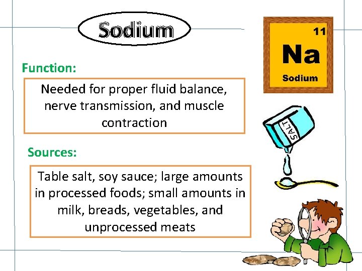 Sodium Function: Needed for proper fluid balance, nerve transmission, and muscle contraction Sources: Table Sodium Function: Needed for proper fluid balance, nerve transmission, and muscle contraction Sources: Table