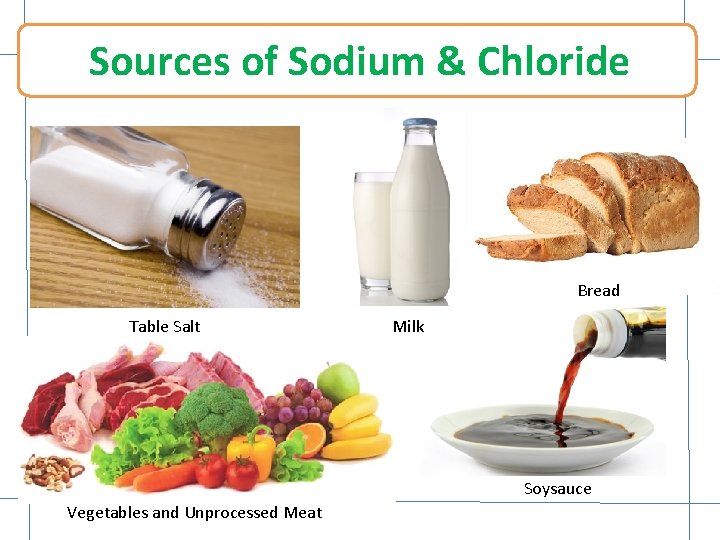 Sources of Sodium & Chloride Bread Table Salt Milk Soysauce Vegetables and Unprocessed Meat