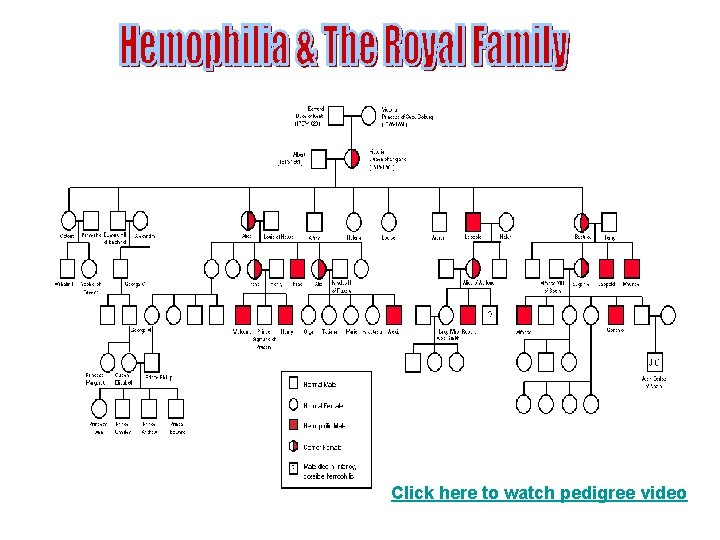 The European Royal Family Click here to watch pedigree video 